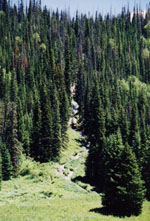 The Falls