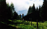The Path