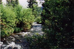 The White River